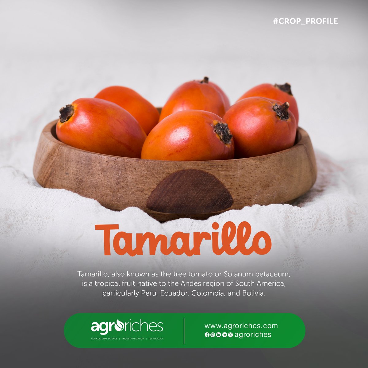 Indulge in the tantalizing taste of the Tamarillo fruit - a blend of sweet and tangy flavors in every bite!

#agroriches #agriculturaltrends #agriculturenews #african #women #agricultureinghana #ghana #articles #farming #growth #food #agriculture #technologynews