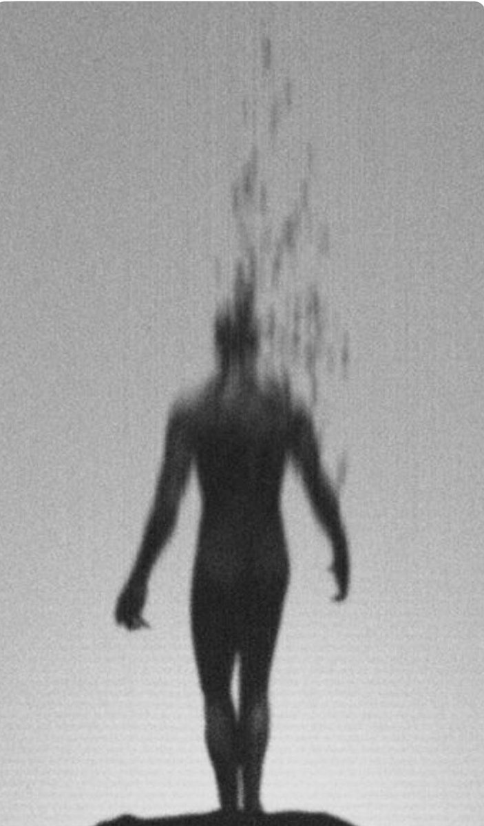 First trades done… Ice has been broken for a few 🧊

0.3% up on the NAV 

♾️