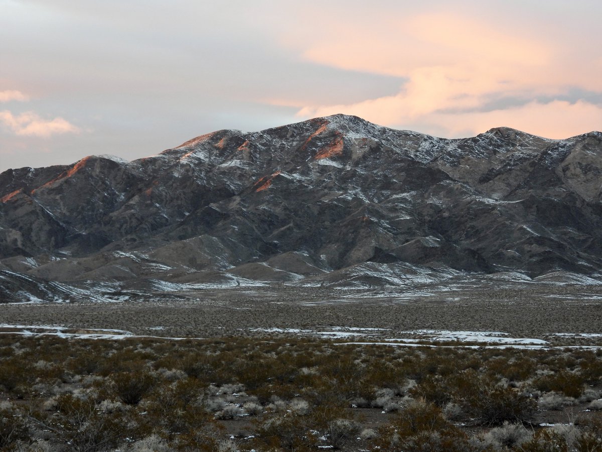 BasinRange's tweet image. BLM tells us they are moving forward on 4 large-scale solar applications west of Indian Springs, Nevada. They were once very concerned about the high value region for desert tortoise, cactus diversity and hydrology, but now are pushing nearly 17,000 acres of development.