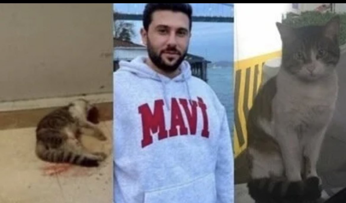 Ahmet Gümüş tweet media