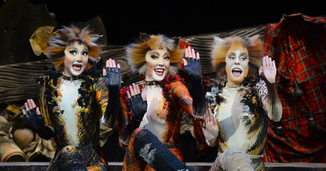 CatsMusical tweet picture