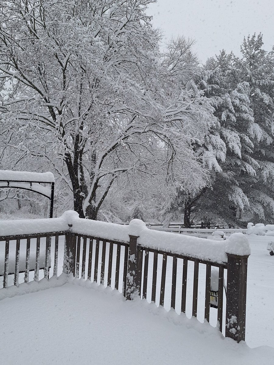 Jennifer Keck tweet media