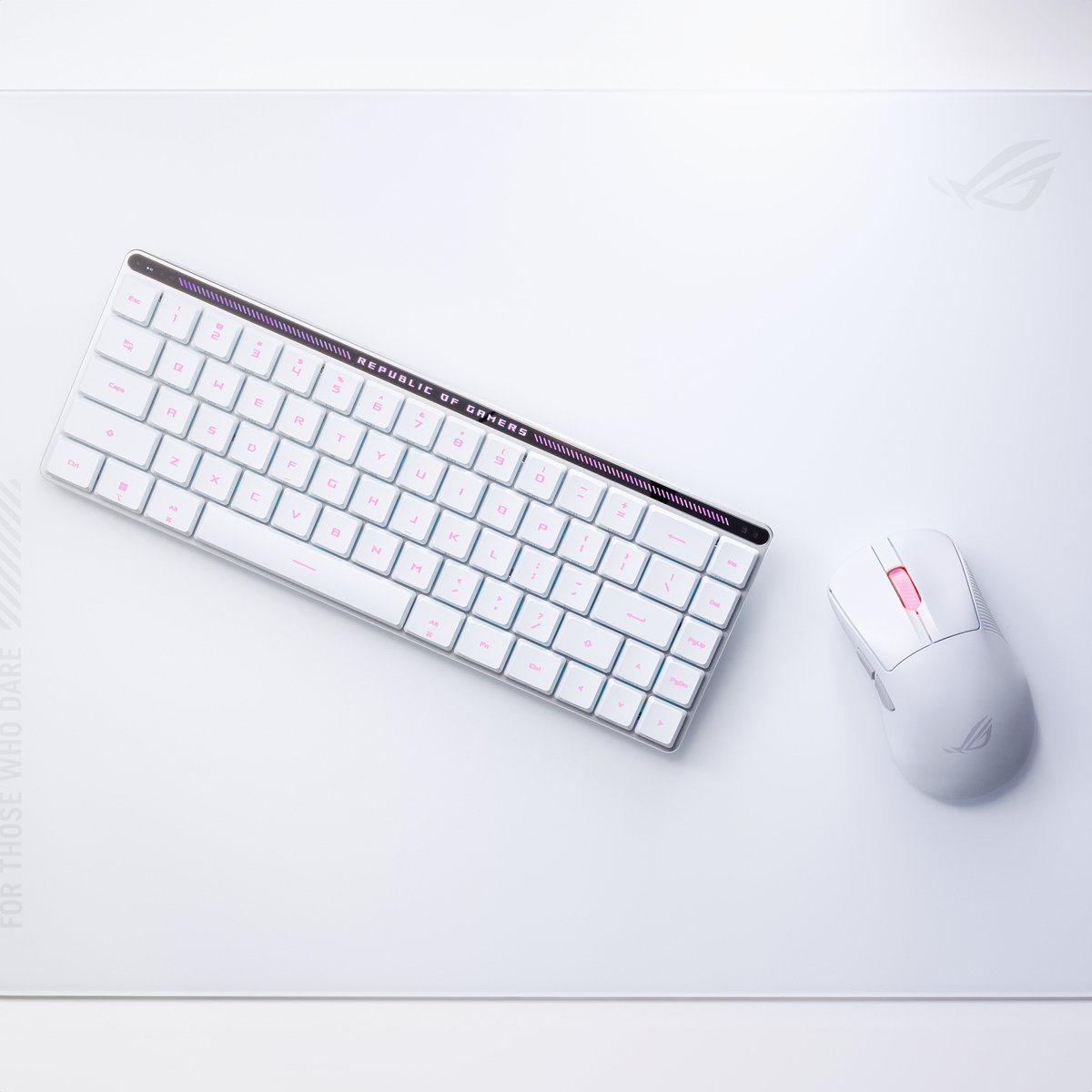 ASUS_za's tweet photo. ❤️Make everyday romantic with the stunning #ROGFalchionRXLowProfile and the #ROGKerisIIAce. Their customizable #AuraSync lighting will set the mood for a romantic gaming experience.
Remember to change your RGB to pink colour, perfect for this Valentines!🖱️⌨️
#ROG65Keyboard https://t.co/frMKd3PxPL