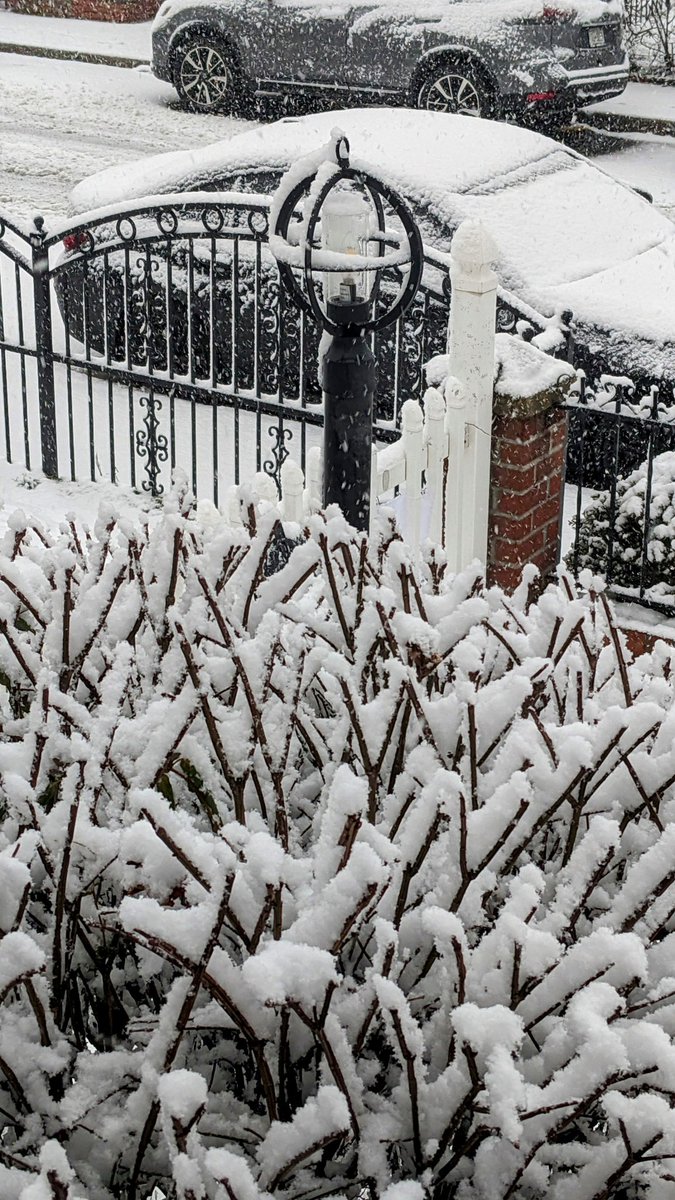 Snow returns to NY State.  God bless! #God #Godsawesomecreation #snow #ny1pic #NYC #photographyforinspiration #snowyvalentines #lentseasonbegins #reflect #meditate #reverance #snow #Lent2024 #pray #celebratelife #authorinspiration #celebratelove #agapelove 💜