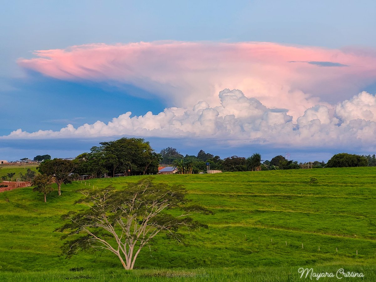 cloud_hunters's tweet photo. Mayara Cristina,
Brasil, Umuarama, PR,
01_116ª CAPA DO GRUPO,
Umuarama, PR
#anuariocloudhuntersVIII
#cirruscapa
#cloudhunters
#cloudhunterscalendario
#cloudhuntersgroup
#cloudhuntersmusic
#cloudhhunterstv
#cloudhuntersoficial
#cloudhuntersstore
#clouds
https://t.co/wLLm8Rppga https://t.co/egXW9wbZCa