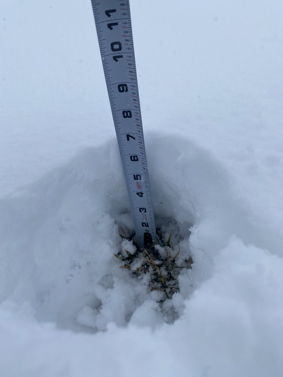 ericrice_wx's tweet photo. @NWS_MountHolly 7” measured at 9:45am ET in Glenmoore, PA https://t.co/Sn9uJTWwLj