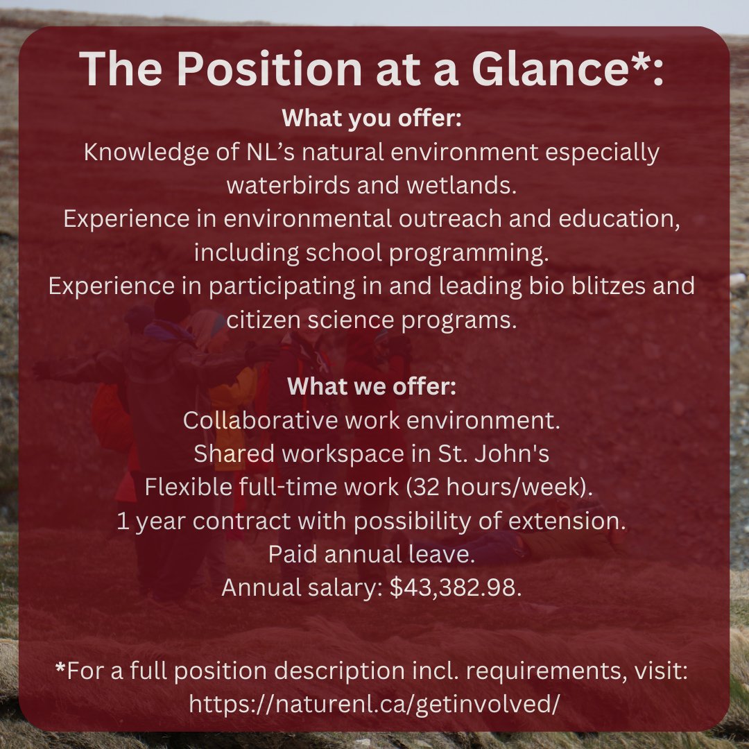 We are Hiring! 📢 Are you passionate about conservation and knowledgeable about marine and terrestrial species in Newfoundland and Labrador? 🌱 Then this opportunity might be for you! *For a full position description incl. requirements, visit: naturenl.ca/getinvolved/