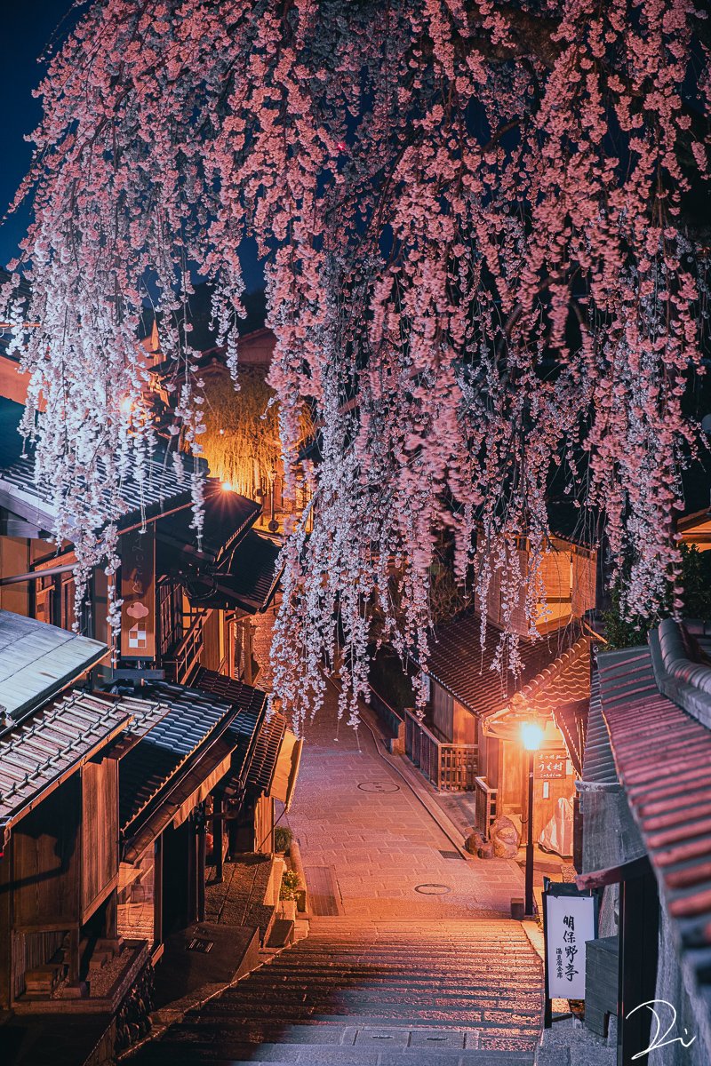 usalica's tweet photo. 京の夜を彩る枝垂れ桜が情緒深い。

#京都よきかな https://t.co/odF3E7rB5b