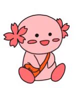 Borara, a cherry blossom fairy, is the mascot for volunteering activities in Kasugai City 