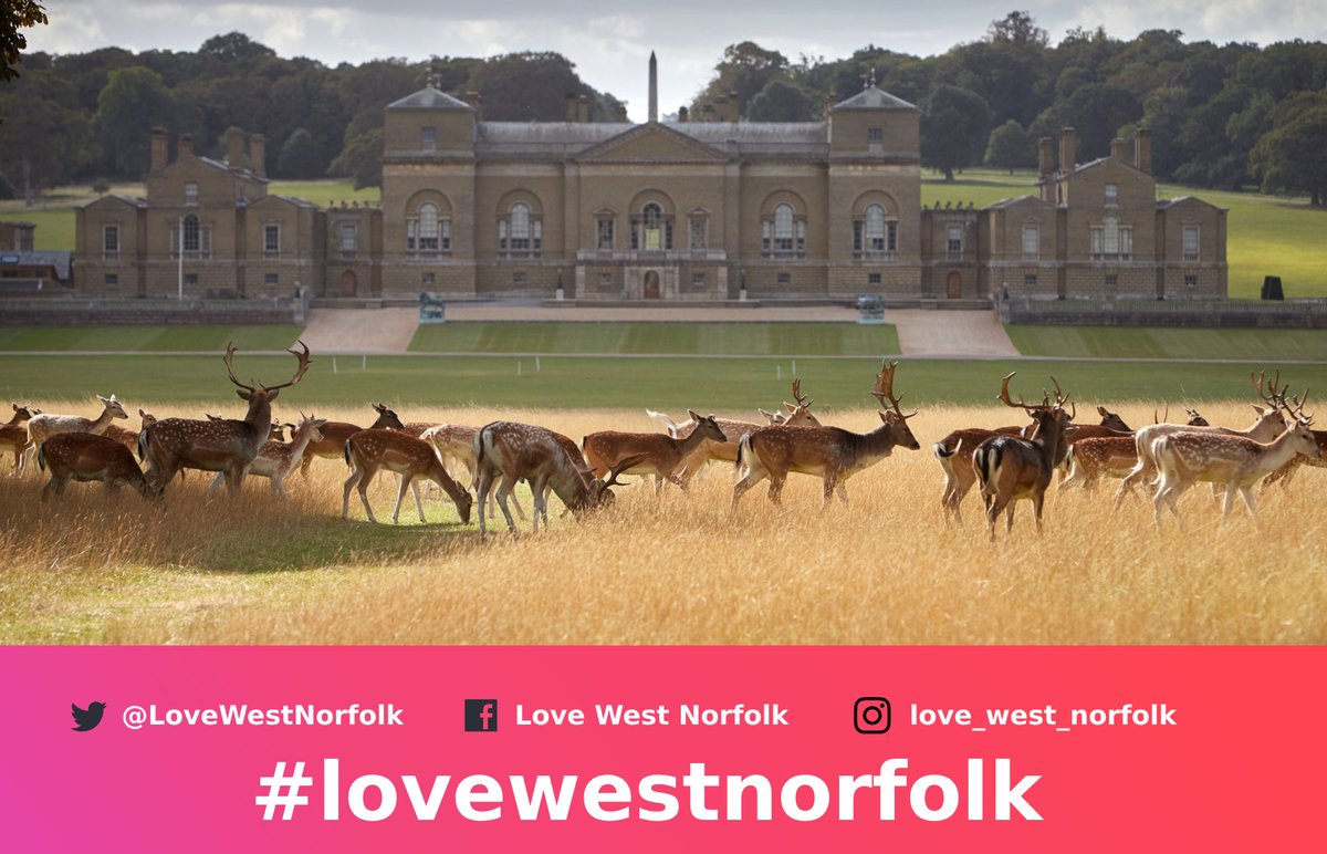 Get out this half term and enjoy all that west Norfolk has to offer. Tag #lovewestnorfolk in your snap so we can see the fun. @VisitWNorfolk has a helpful article for February Half-Term Activities in West Norfolk visitwestnorfolk.com/news/february-…