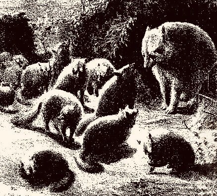 ozkuner's tweet image. タヌキ「戦争かぁ」
↓
タヌキ「ワイを神と崇める人間の氏子たちが、異国で戦ってるわ」
↓
日本兵「敵が強いわ」
↓
タヌキ「せや‼︎ 小豆に化けて海を渡って氏子たちに加勢したろ」
↓
彼等は俗にいう軍隊狸
氏子を守る怪異たち
↓
クロパトキン将軍「ファッ⁉︎…