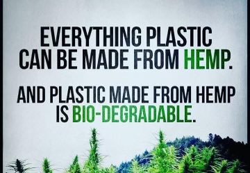 daviddinenberg's tweet photo. Why don’t we hear more about Hemp?  It’s so much better for the environment, has so many uses, &amp; it is LEGAL! #Cannabis #LegalizeIt #CannabisCommunity #Mmemberville #Hemp https://t.co/fxvP010RaO