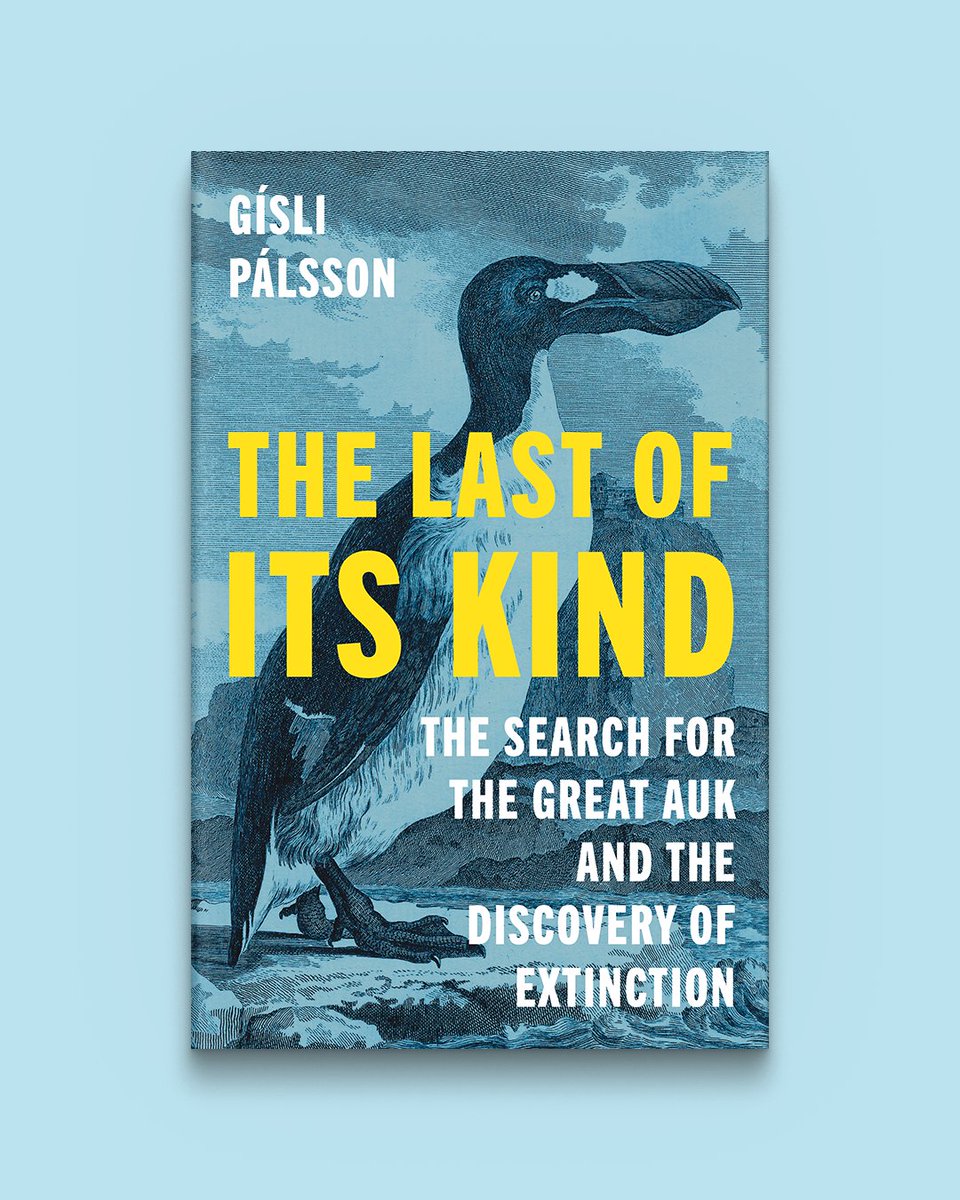 'In 1858, two ornithologists set out to find the great auk. @GisliPalsson’s intriguing account of their failed quest argues it may have shaped modern ideas about extinction and conservation’.  

Read the review of The Last of Its Kind in @newscientist: hubs.ly/Q02kSqvF0