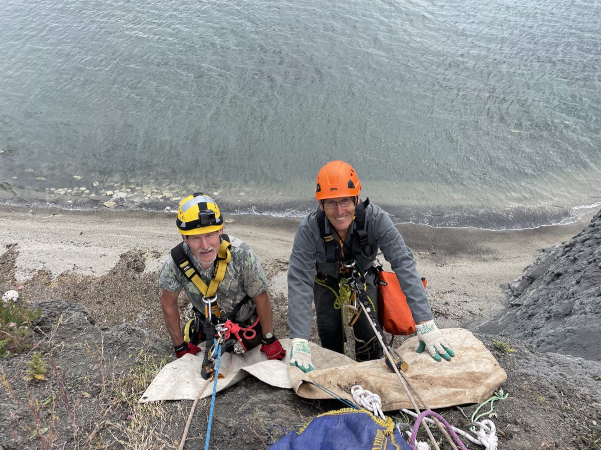 Rescue the SeaRex 

The Etches Collection is planning the next part of the amazing excavation that brought about the acclaimed documentary. We are pleased to announce that you can now support this amazing endeavour by donating here: 

justgiving.com/campaign/searex

 #searex #pliosaur