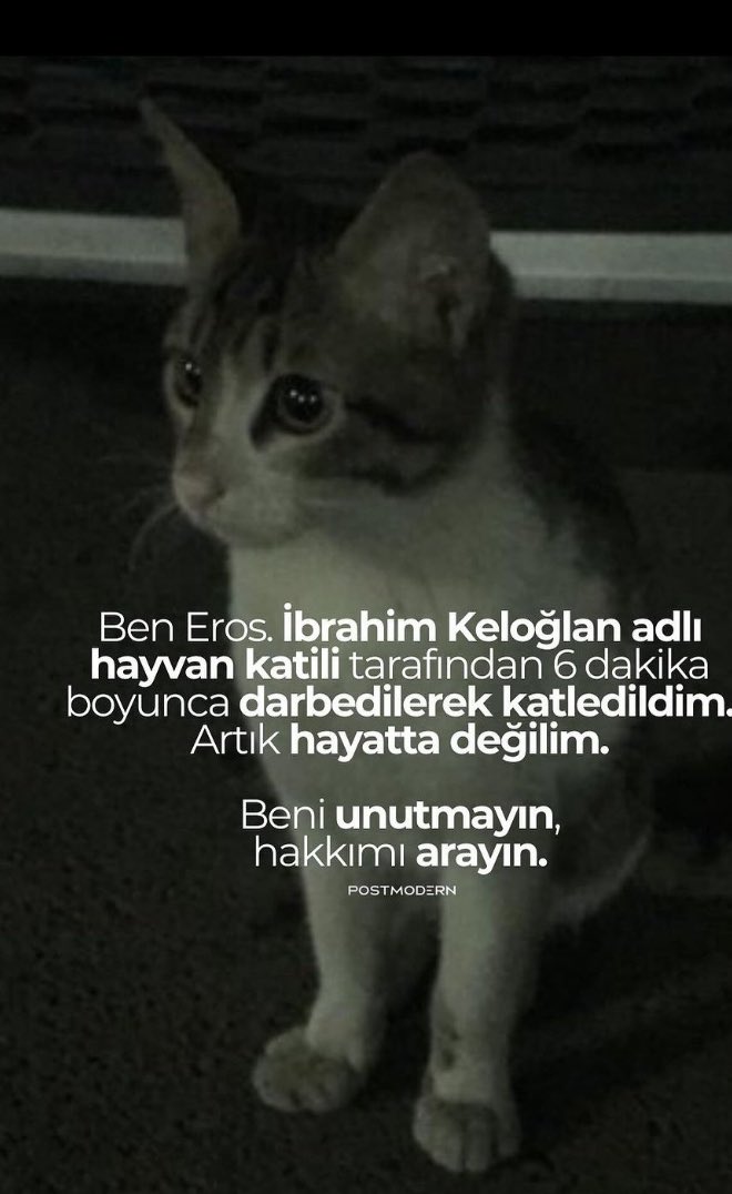 Hak, hukuk ve adaleti Twitter üzerinden binlerce tweet atarak arıyoruz. Ne hale gelmişiz... Şu masum yavru kediye bunu yapan yarın neler neler yapar. Bir canlıya zarar vermenin açıklaması olamaz. Adalet toplum vicdanını da baz alır.
#ibrahimkeloglantutuklansın