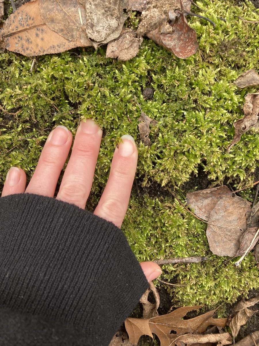 yintuition tweet media