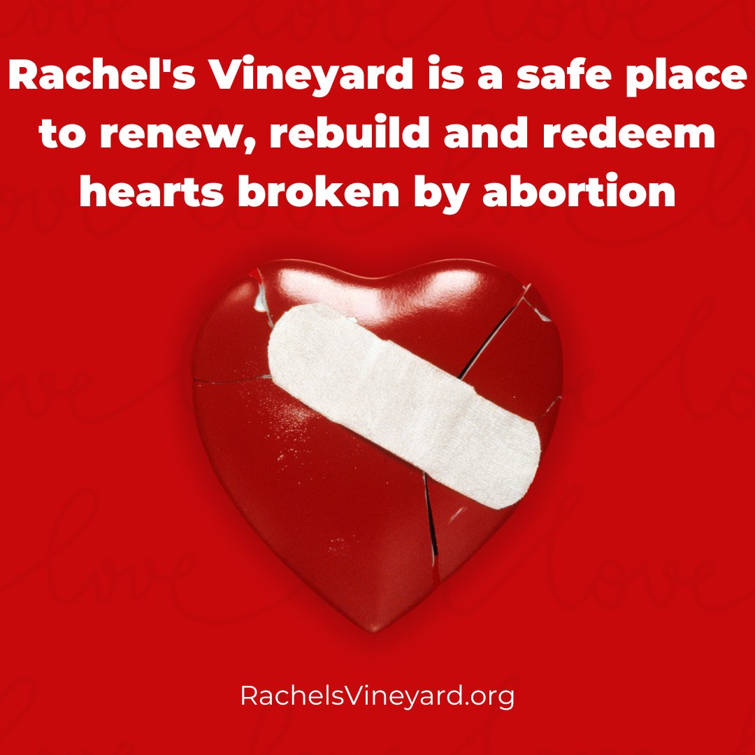 Heal your broken heart today at Rachel's Vineyard ❤❤
#AbortionRecovery #AbortionHealing #ProLife #valentinesday2024