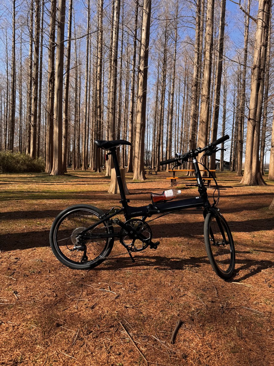 archihiro1970's tweet photo. メタセコイア並木と愛車。
#DAHON
#DEFTAR
#水元公園 https://t.co/EcNZsLAWQC