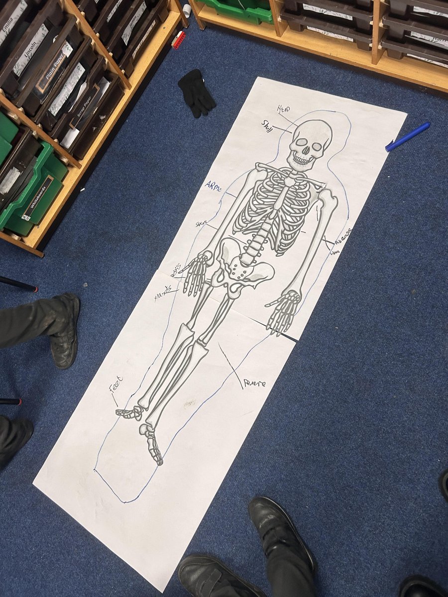 Year Three have enjoyed their science lesson today, which has been focused on the human skeleton and identifying different parts of it. They found drawing around themselves very.. humerus.