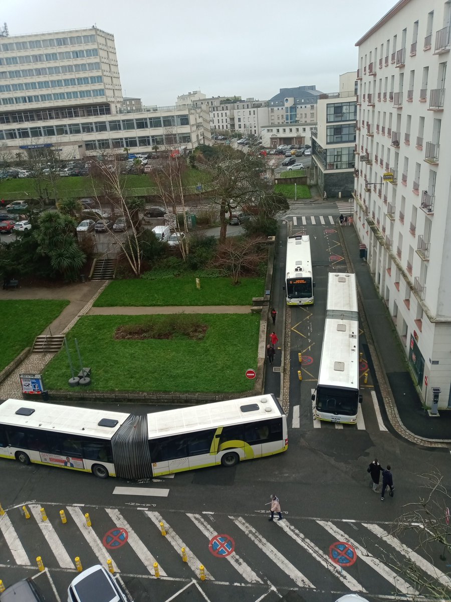 twitslg's tweet photo. Conditions de vie toujours aussi désastreuses rue Branda bruits insupportables, pollution à cause des bus concentrés là au mépris des riverains@ratp @brestlife https://t.co/sJI5nPivCz