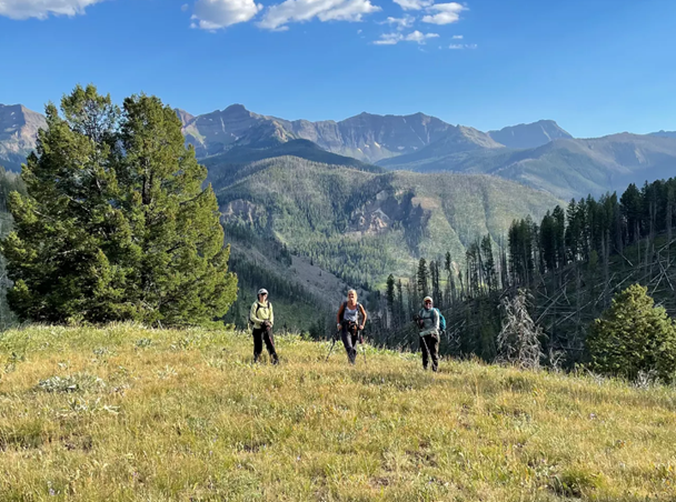 WhitebarkFound's tweet photo. 📷 Our February newsletter is now available at https://t.co/C9GIihV3x7! Stay up to date with the latest news, including the upcoming annual conference, jobs related to high-elevation pines, and repeat photography of #whitebark. Join our mailing list at https://t.co/IrZhZlWdnv. https://t.co/8cK6JYvb2Y