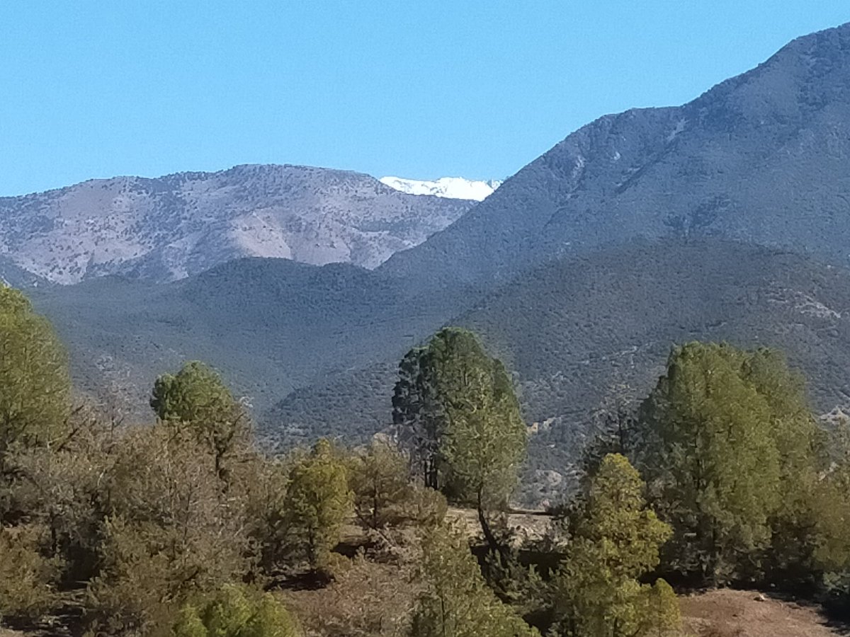 AtlasTrekk17691's tweet photo. @SonjaSwissLife @tangenghui We think #Morocco's #AtlasMountains and the almond blossom on the terraces of its #Berber villages have got to rank up there! 🥰💚⛰️ https://t.co/j6aIByXshW