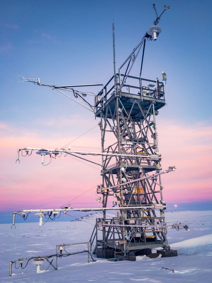 NEON_sci's tweet photo. NEON is hiring seasonal field technicians and leads in Alaska! The Taiga and Tundra Domains feature massive, wild landscapes dominated by beautiful forests and mountains to endless permafrost vistas.
AK TFT opening: https://t.co/HUppsDToxx
#fieldscience #job https://t.co/dbQqJs1OvN