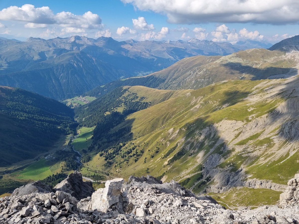 Are you interested in ecology and looking for an internship in the Swiss Mountains? We are looking for a motivated candidate to explore with us the effects of novel plant consumers on plant communities, and work with us in the <a href="/BugNet_research/">BugNet</a> in Davos. m.refline.ch/273855/1613/pu…