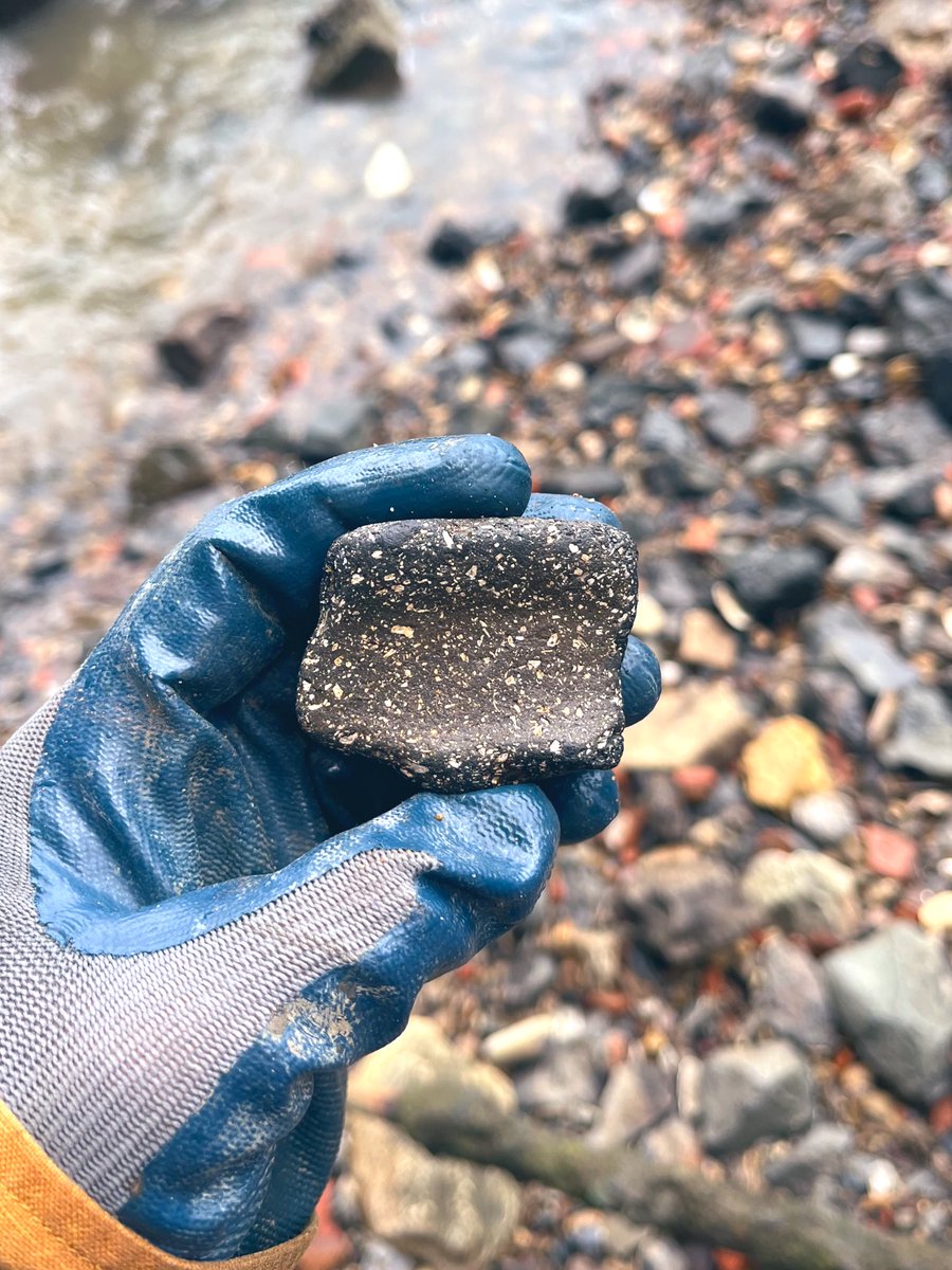 This modest potsherd, found on the Thames foreshore this morning, dates to the 10th-12th century AD. It’s Saxo-Norman shell-tempered ware (thanks Richard Hemery for the ID) & I’ve got a piece of the rim. Just imagine: its owner may have witnessed the Norman Conquest of 1066 ⚔️
