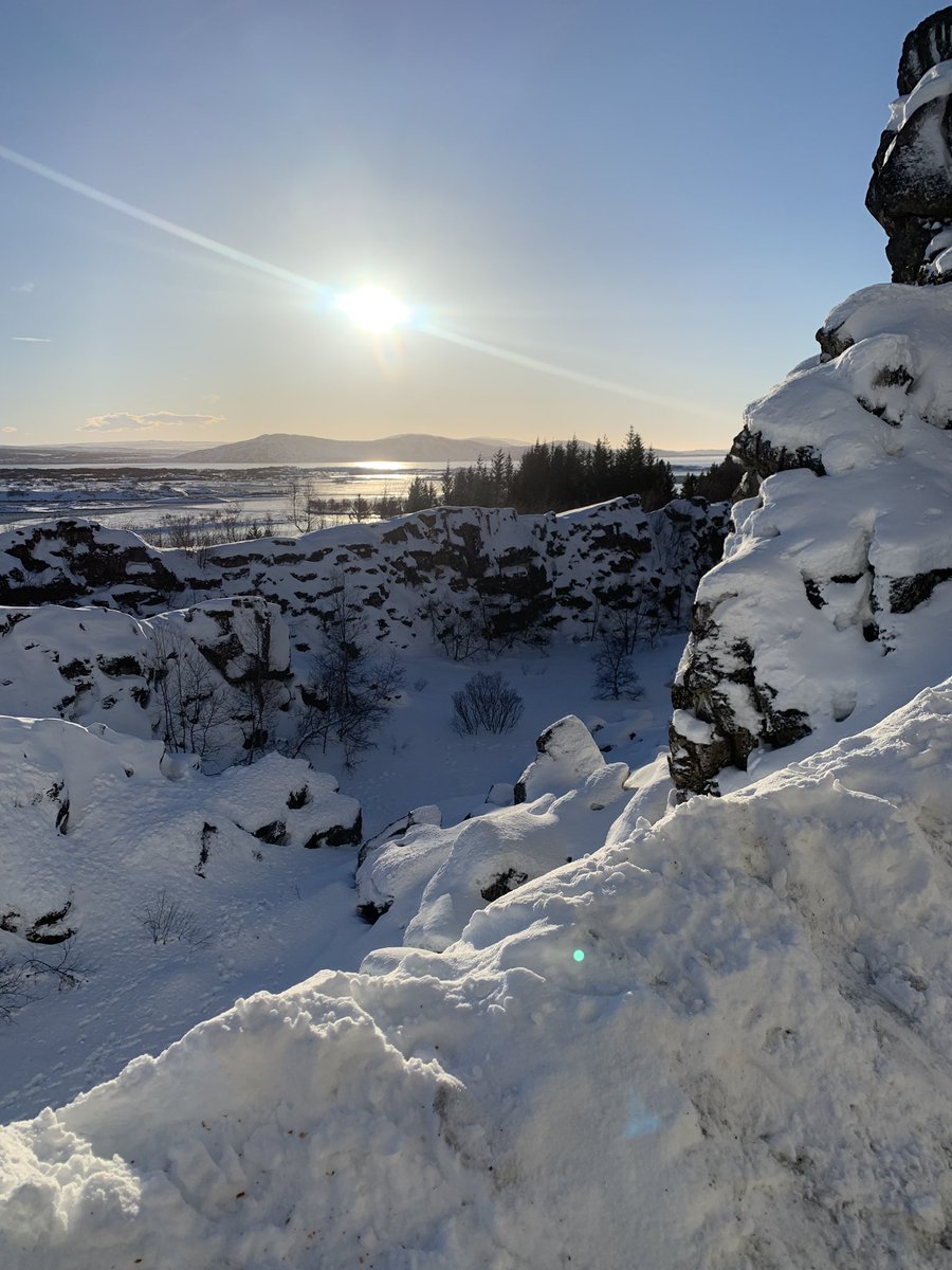 Miss Hale tweet media