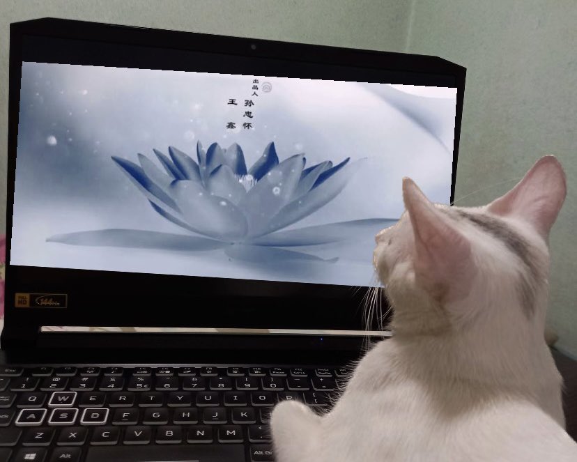_bjyxszddd's tweet photo. pov: me on valentines day https://t.co/AGpuZwy2aJ