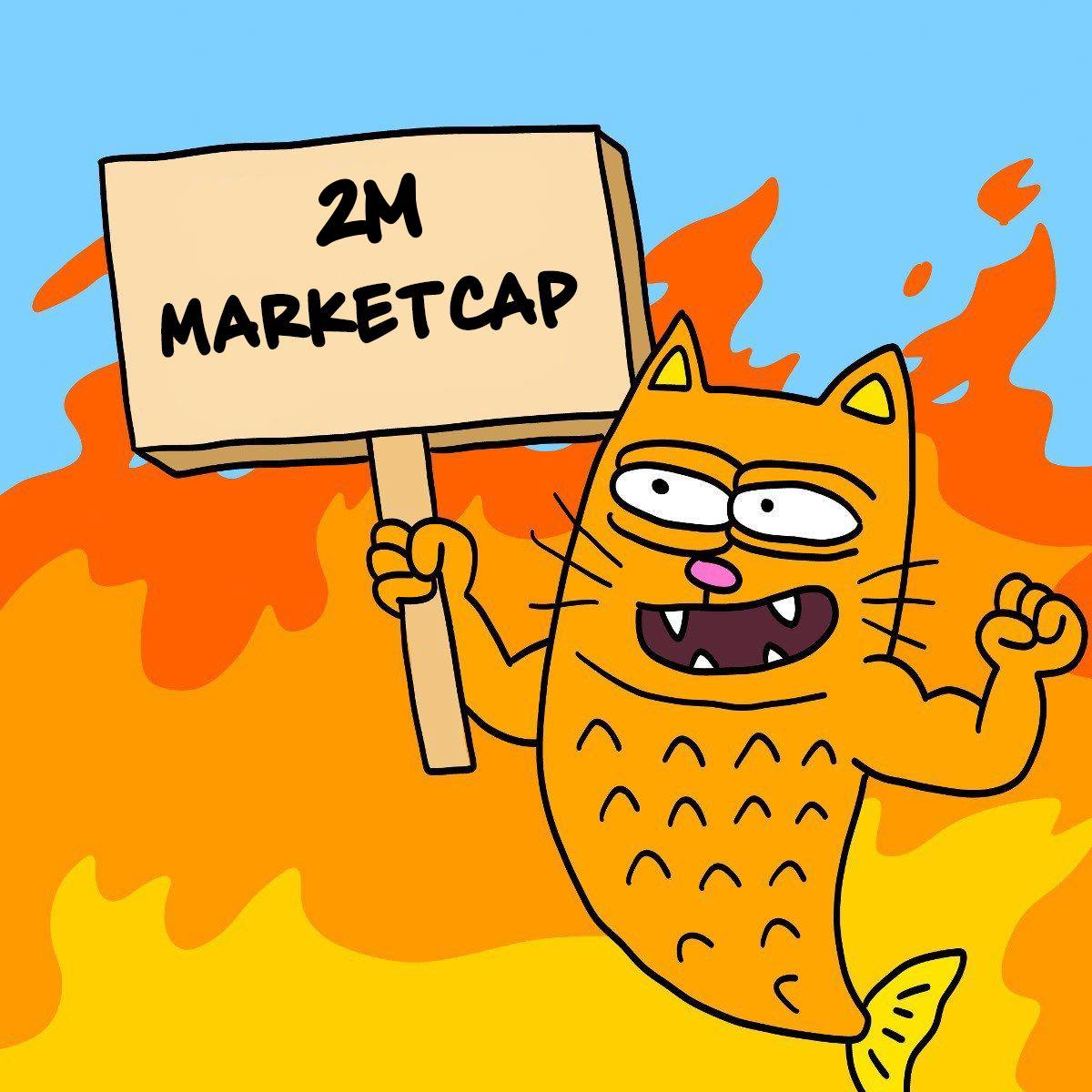 Catfish on SOL! tweet media