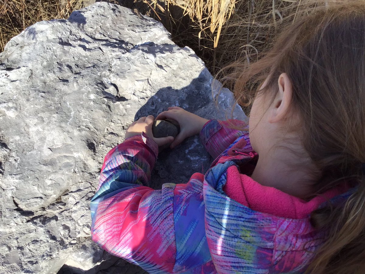 JBrentECE's tweet photo. This day’s trip to the rock garden had the children noticing differences and details about many of the rocks. One was a ‘puzzle 🪨’. It inspired a “rock collection” which was managed by the dynamic duo of Ad and Al. #4FrameBC #4FrameSRWB https://t.co/1ZlCOAxbp2