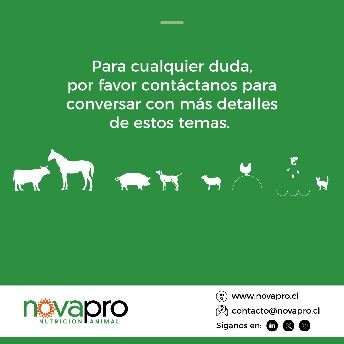 👉Sistemas de alimentación de cerdas para gestación en corrales de alto desempeño @JygaTech_Gestal 🐷🐷🐷 - Consulta por tu equipo y escríbenos a contacto@novapro.cl #bienestaranimal #alimentaciónanimal #producciónanimal #gestacióncolectiva #chile