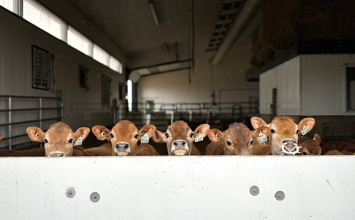 Derek Van De Walle tweet media