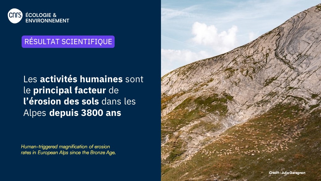 #RésultatScientifique 🔎

Depuis 3800 ans, les effets des activités humaines - notamment l’agropastoralisme - sur l'érosion du sol dominent largement ceux du climat, transformant durablement le fonctionnement des paysages alpins 🏔️. 

➡️inee.cnrs.fr/fr/cnrsinfo/le…
