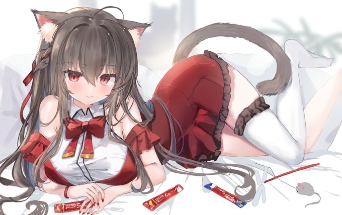 チョコの代わりにちゅ～るをいただくあかはねこ 