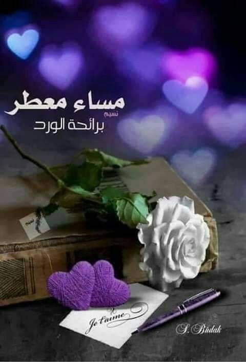 مفرطة في حب الظلام والهدوء والقهوة وكل طقس له علاقة بالمساء
#مساء_الخير_والسعاده
#غرد_بكلمه_جميله
<a href="/Ma16_A_1/">‏ ‏ ‏ڛۣــحۡــٰٱ̍بــہ ̨؏ــٰٱ̍بــڔه</a>