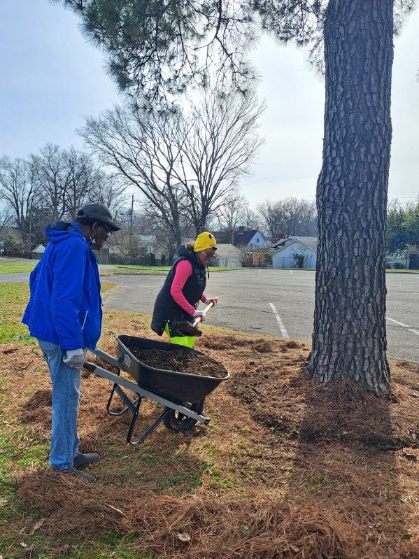 Memphis City Beautiful tweet media