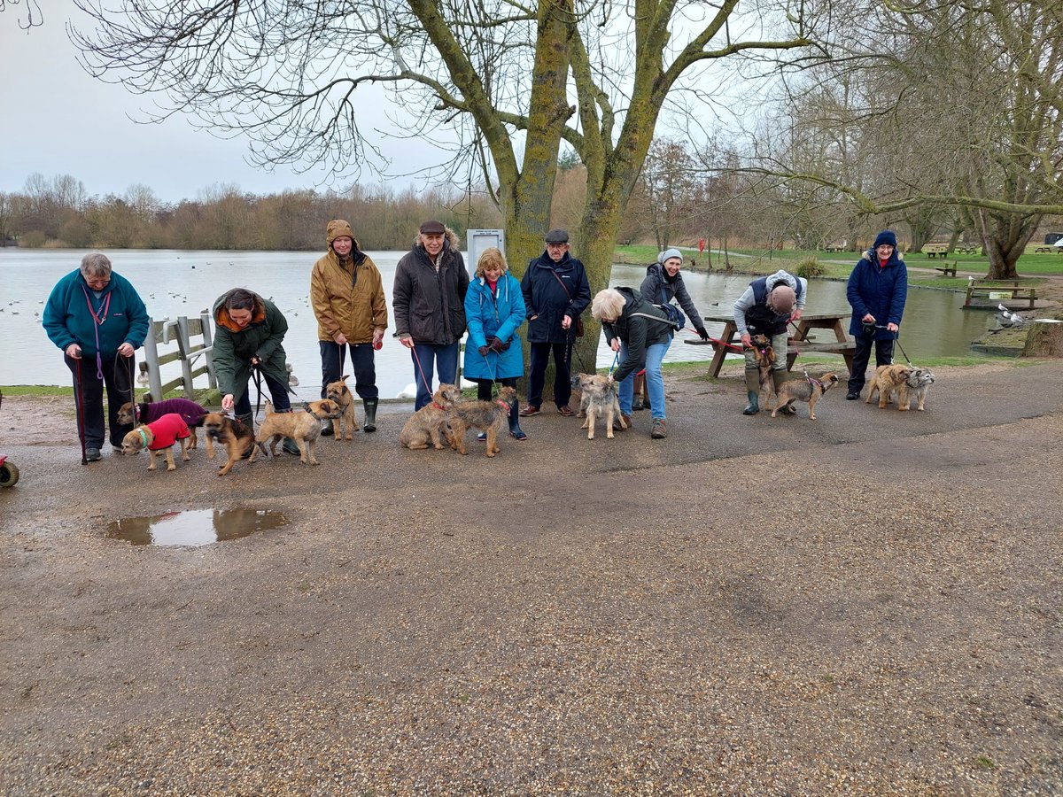 A really positive day working with partner agencies @environmentagency @AnglingTrust visiting several fisheries in Suffolk. We bumped in to @TheRSPB and a wonderful pack of Border Terriers! #optraverse #environmentagency #anglingtrust 🎣 🐕