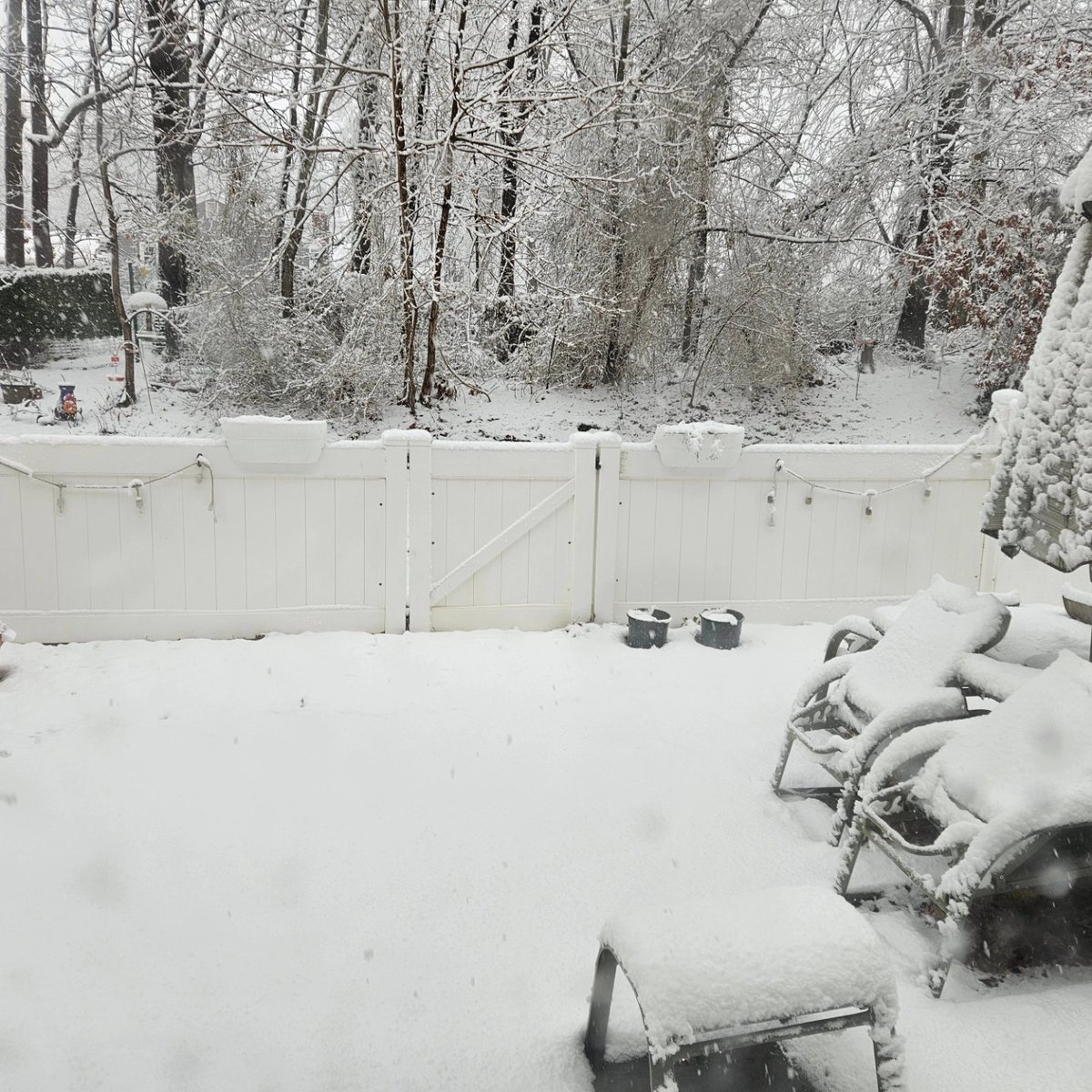 brian_bonafitz's tweet photo. #SnowDay views from the home office of #FitzManor. Enjoy your #Tuesday, friends! ❄️🌨☃️ #TuesdayFitz #AtLeastItsNotMonday #WorkFromHome #ItsStillWinter #TheGroundhogLied #MiddletownNJ #February13th #FrozenFitz https://t.co/Fj0DmsUth3