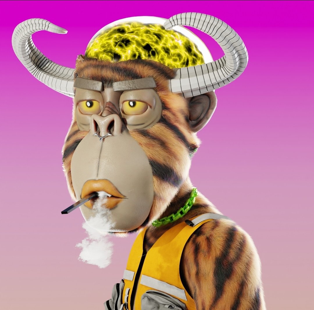 BRAINDEAD MONKEYS 🟪 tweet media