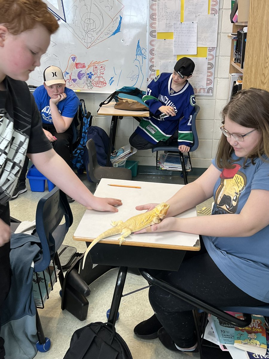 🦎Blaze was a hit at our show and tell 🦎#creepycrawler <a href="/LSASharks/">Labrador Straits Academy</a> <a href="/NLSchoolsCA/">NLSchools</a> <a href="/mamdy223/">Mamdy223</a>