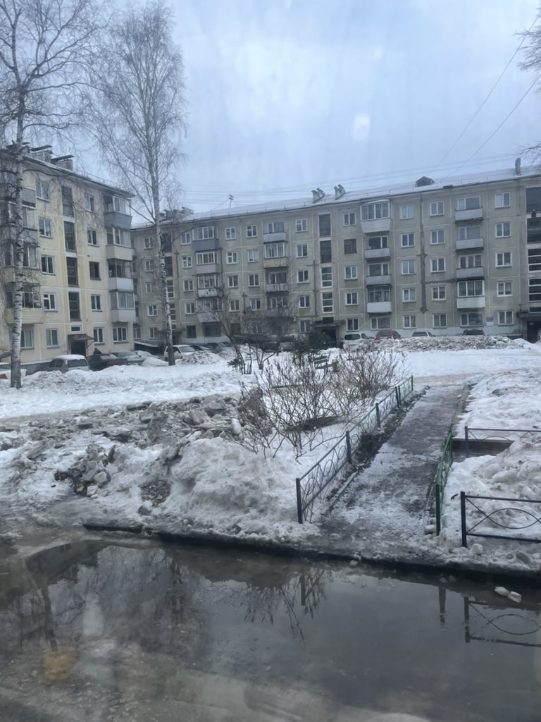 _dancingcat_'s tweet photo. @bananaseason все таки есть разница https://t.co/16QolTG3qR