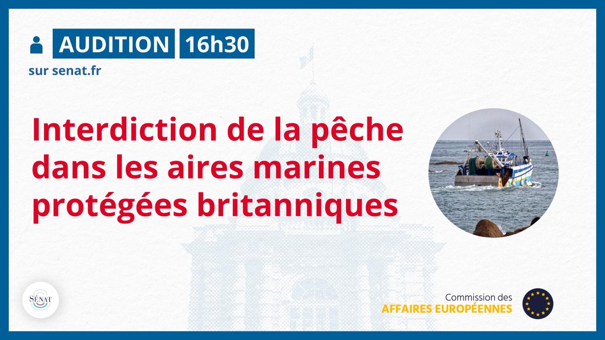 🔴 À 15h, suivez en direct, sur notre site, l'audition, par la #ComAfEuroSénat (@RAPINJF), sur l'interdiction de la pêche dans les aires marines protégées britanniques. Le direct : 🎥 videos.senat.fr/direct