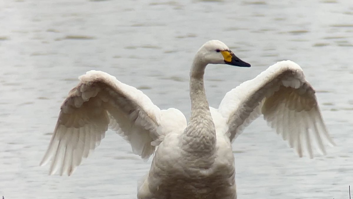 James Wilkinson tweet media