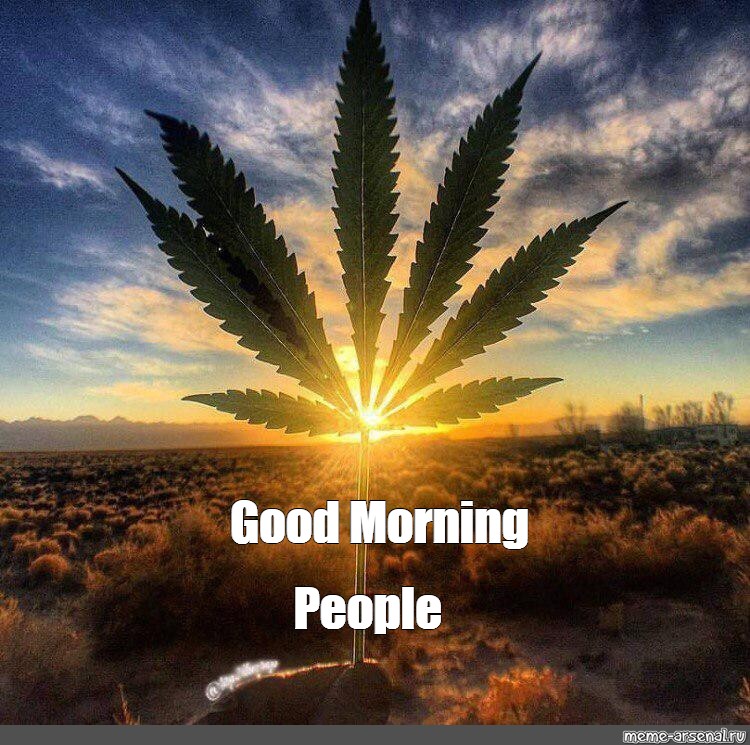 Happy Tuesday to all of you fantastic stoners and streamers! How was Monday for yall?