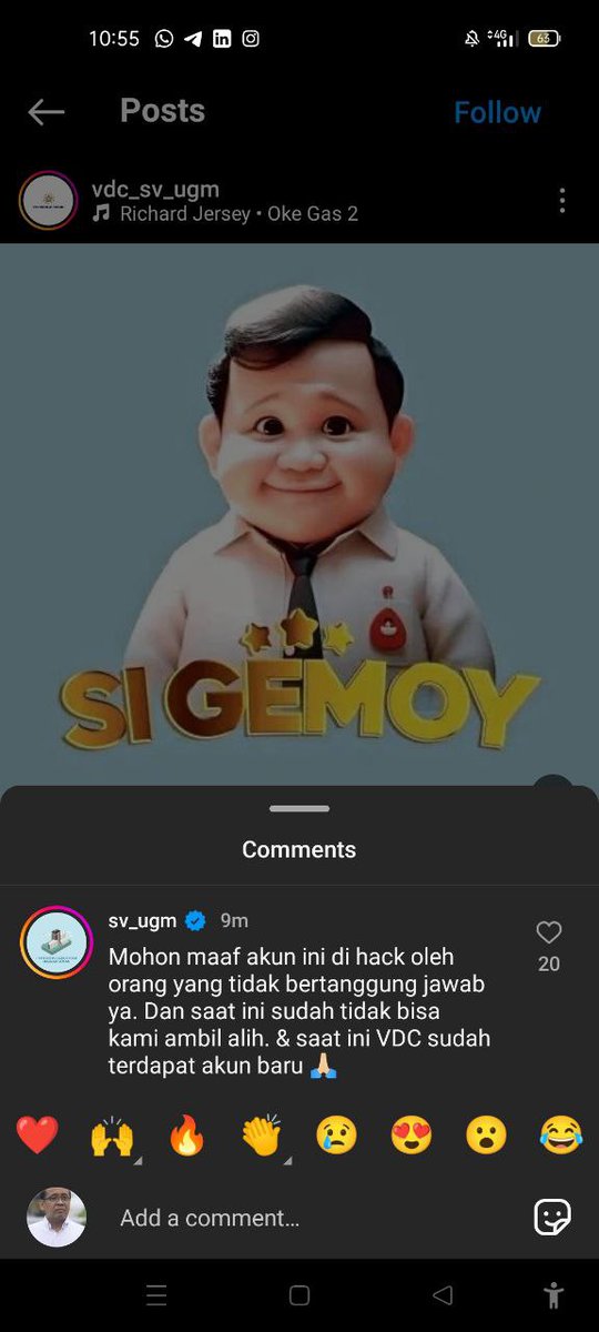 NO DM - KIRIM FESS CEK HIGHLIGHTS tweet media