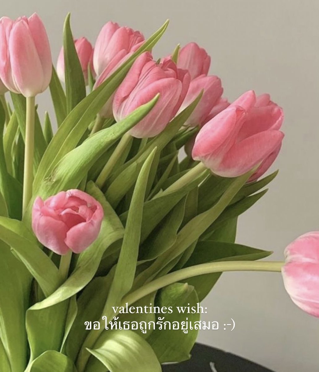 ขอให้เป็นวันที่ได้รับความรักเยอะๆ 
ไปที่ไหนเจออะไรก็มีแต่ความรักรุมล้อม 
รู้สึกถึงความอบอุ่นอบอวลเหมือนกับขนมปังที่เพิ่งอบใหม่ๆ ขอให้เป็นวันที่ไม่เหนื่อยมากและน่ารักกับเธอ

เธอน่ะ อย่าลืมรักตัวเองเยอะๆ ด้วยนะ
:-)