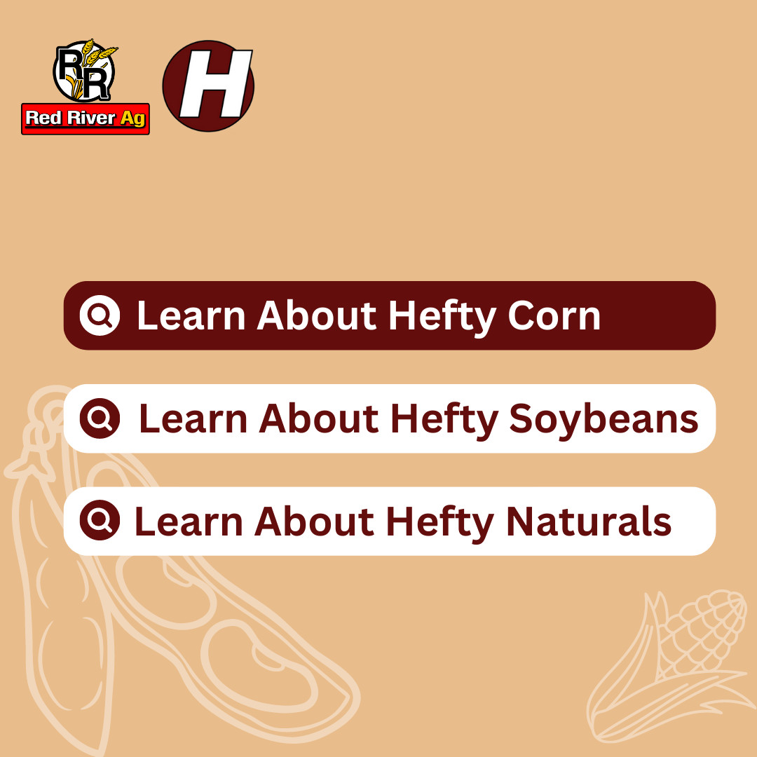 RedRiverAg_MN's tweet image. Every Hefty Brand Corn variety is treated with Hefty Complete seed treatment proven to give you consistent ROI!

📌 Learn more about Hefty Corn!
heftyseed.com/corn

#RedRiverAg #Plant23 #HeftySeed